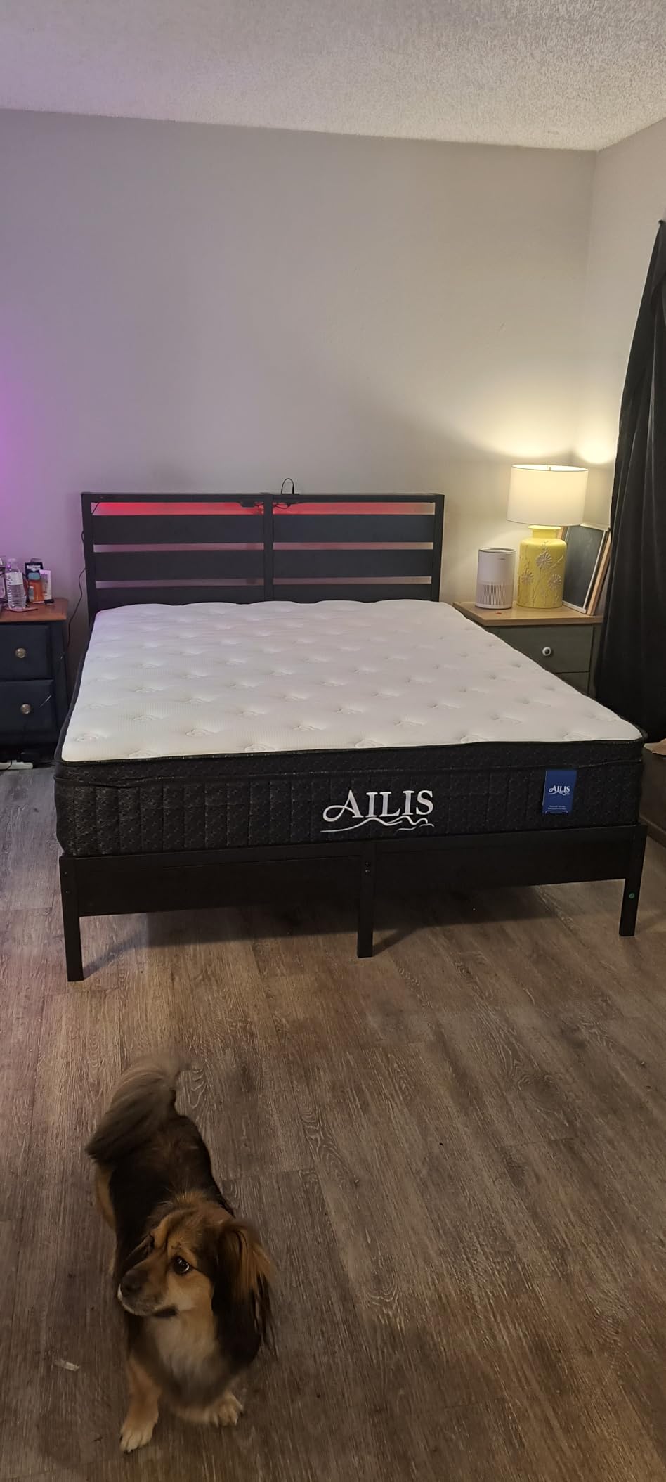 Ailis Queen Mattress, 12 Inch Queen Hybrid Mattress in a Box, Medium Firm with Upgraded Pocket Springs for Superior Motion Isolation, Strong Edge Support & Breathable Comfort customer photo 2