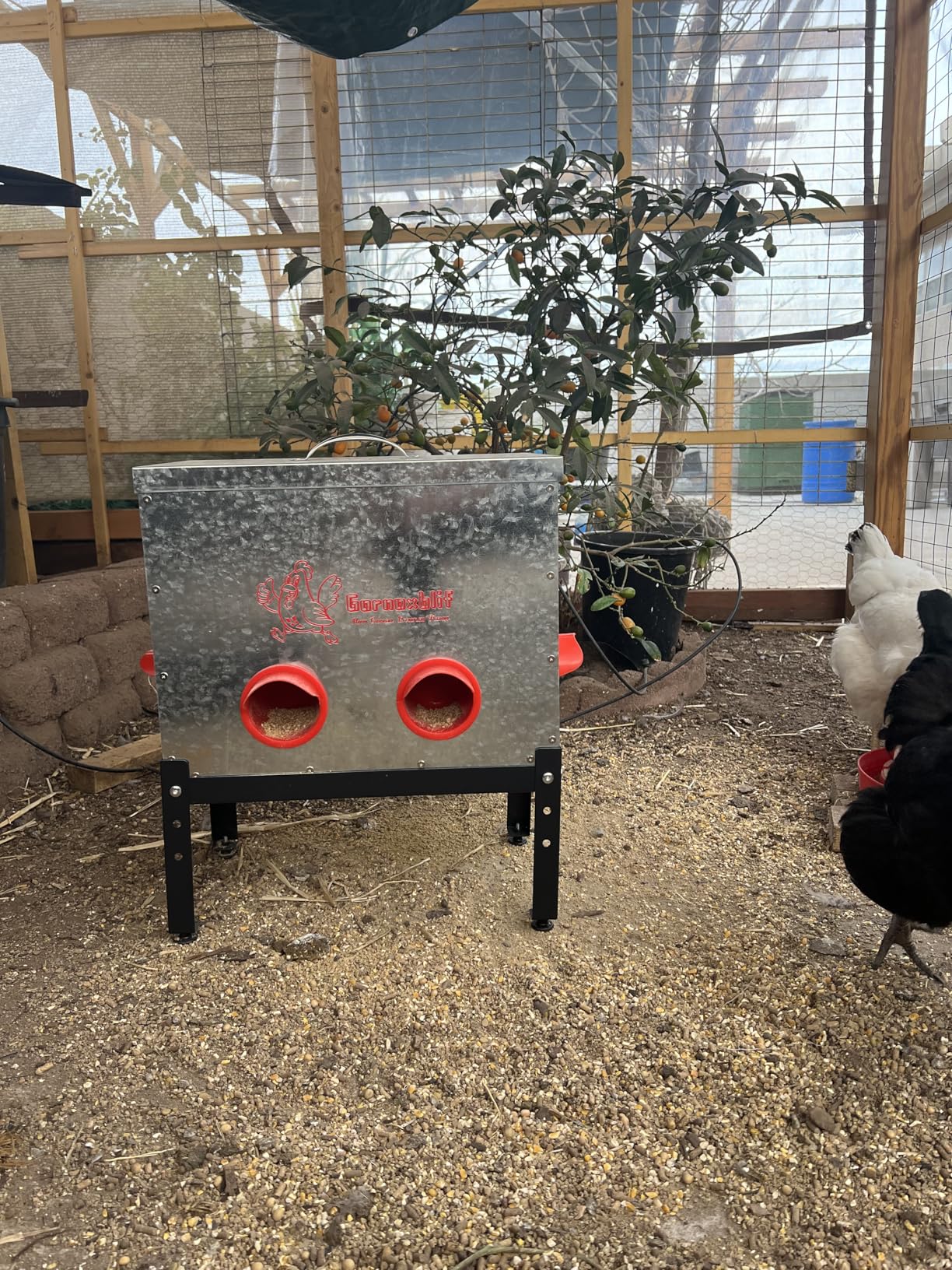 40 LB Large Automatic Chicken Feeder, 6 Port Metal Chicken Feeders, No-Waste Poultry Feeder with Adjustable Legs & Locking Lid, Weatherproof Large Chicken Feeder for Inside Chicken Coops customer photo 1