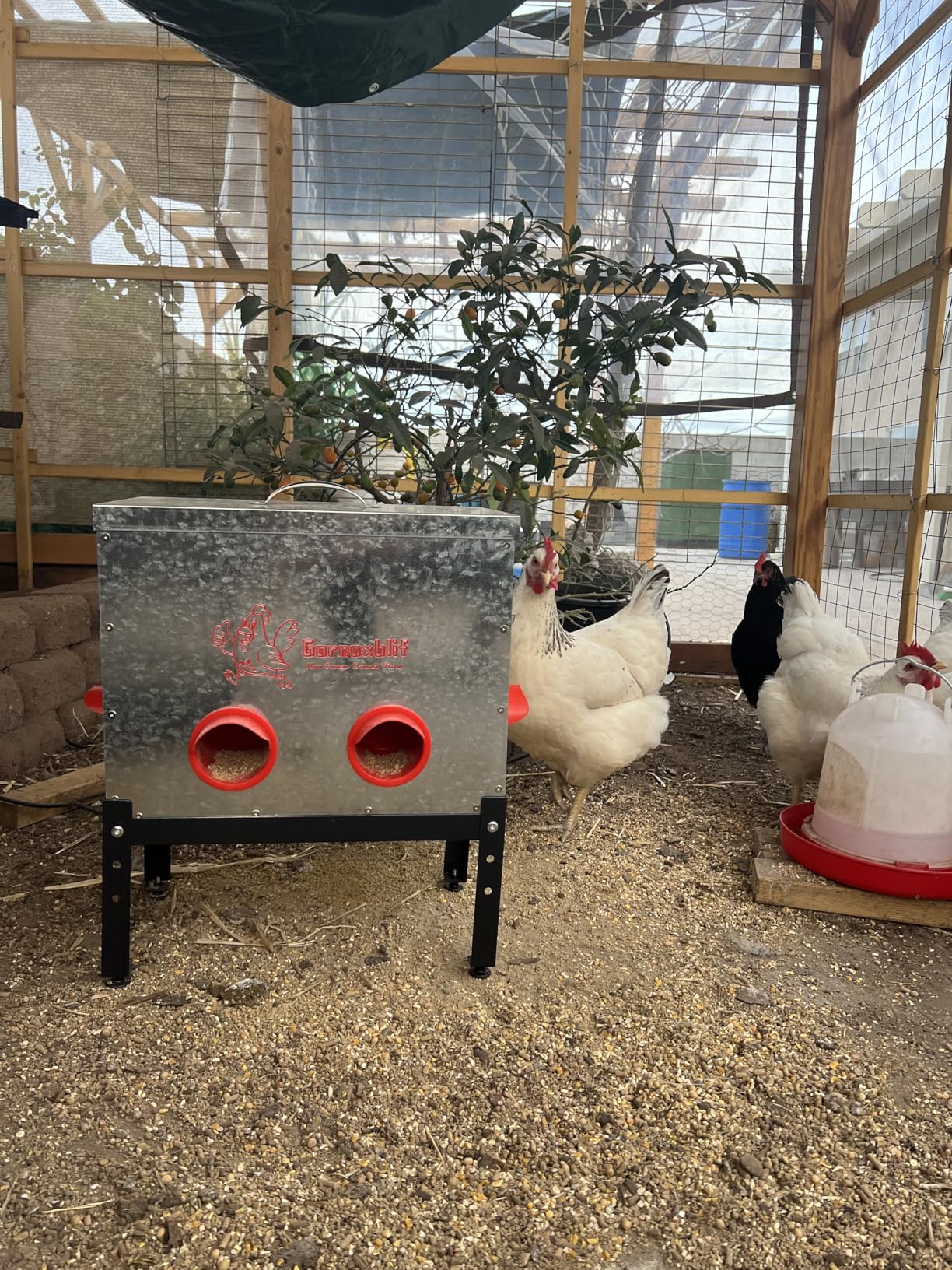 40 LB Large Automatic Chicken Feeder, 6 Port Metal Chicken Feeders, No-Waste Poultry Feeder with Adjustable Legs & Locking Lid, Weatherproof Large Chicken Feeder for Inside Chicken Coops customer photo 2