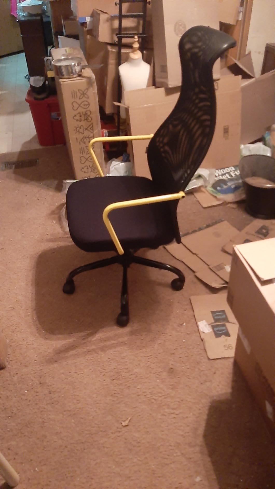 SIHOO B100 Mesh Ergonomic Office Chair with Adaptive Lumbar Support customer photo 1