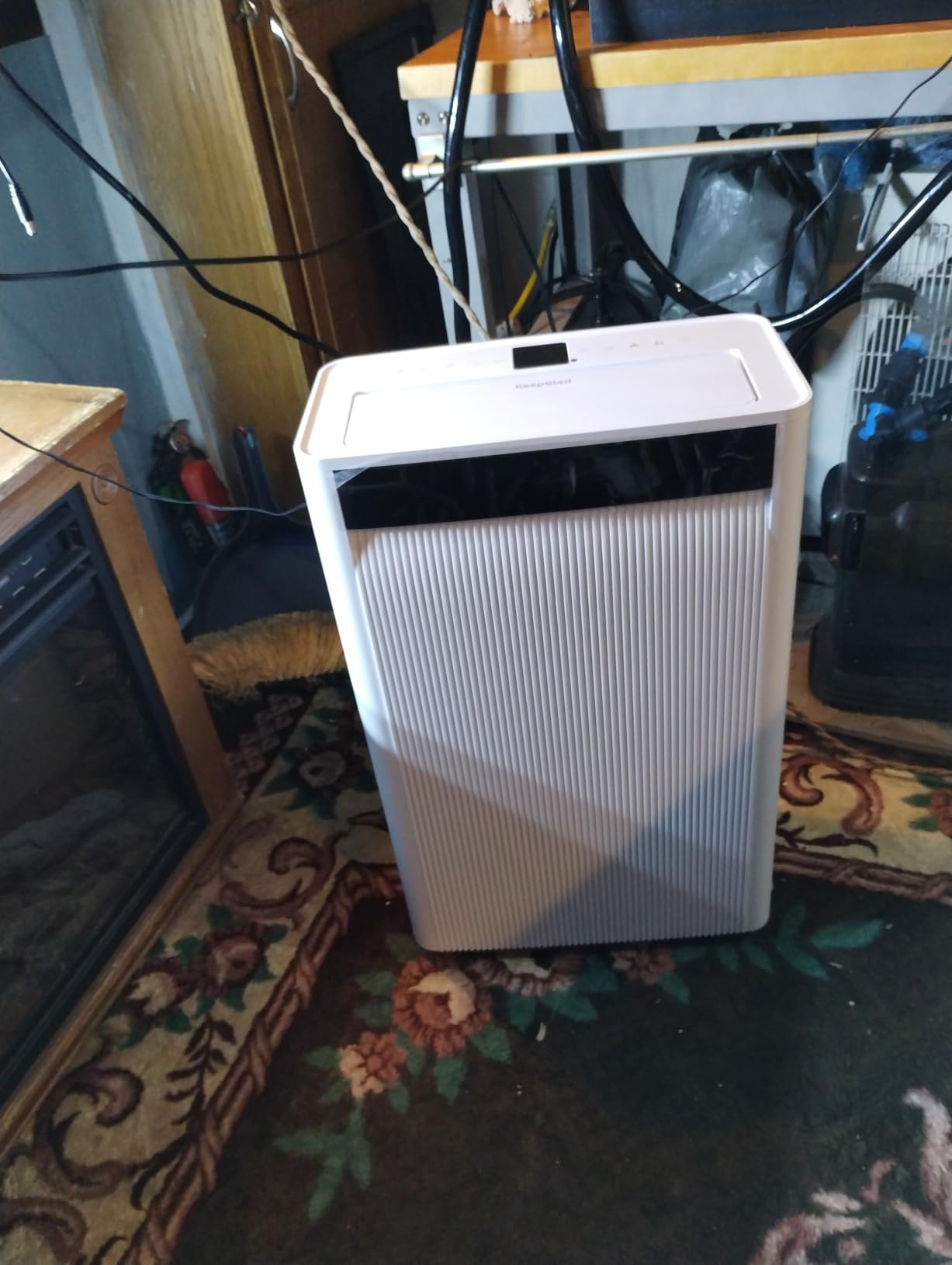 5000 Sq. Ft Dehumidifiers for Home and Basement, Max 95 Pint/Day Dehumidifier with Drain Hose, Compressor Dehumidifier with Humidity Control, 24H Timer & Child Lock, for Bedroom, Large Rooms customer photo 1