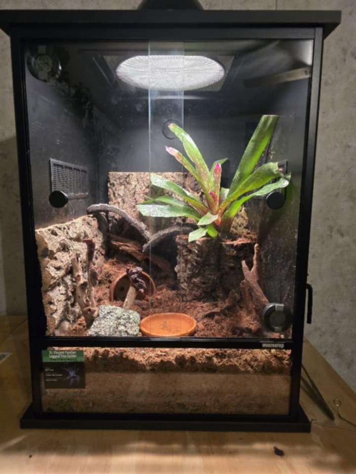 67 Gallon Tall PVC Reptile Enclosure,24