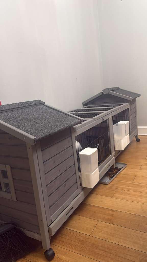 Wooden Rabbit Hutch Indoor and Outdoor with Waterproof Roof, Mobile Rabbit Cage with Wheels, 2-Story Bunny Cage with Leak Proof Tray and Chew Proof Ramp (Grey) customer photo 1