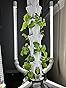 Hydroponic Tower Planter - Complete Plant Growing Starter Kit - Vertical Indoor System for Herb and Vegetable Gardening, Microgreens and More - Includes Grow Light Setup, Smart WiFi Control customer photo 1