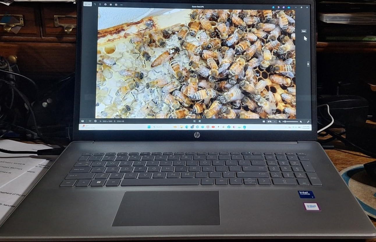 HP 17 Inch Laptop Computer L017, 17.3