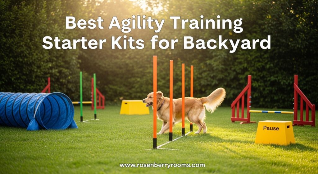 The current image has no alternative text. The file name is: Best-Agility-Training-Starter-Kits-for-Backyard.jpg