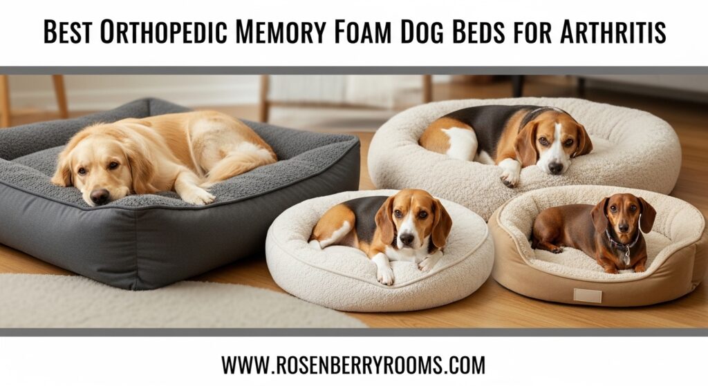 The current image has no alternative text. The file name is: Best-Orthopedic-Memory-Foam-Dog-Beds-for-Arthritis.jpg