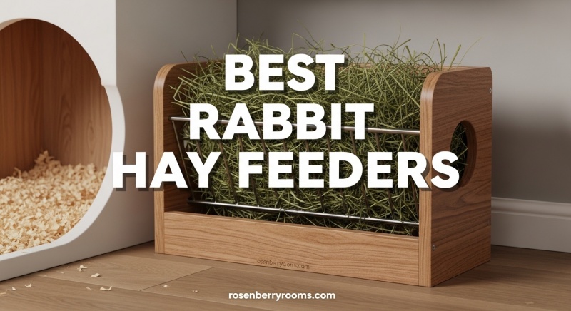 Best Rabbit Hay Feeders