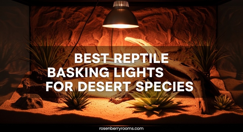 Best Reptile Basking Lights for Desert Species 