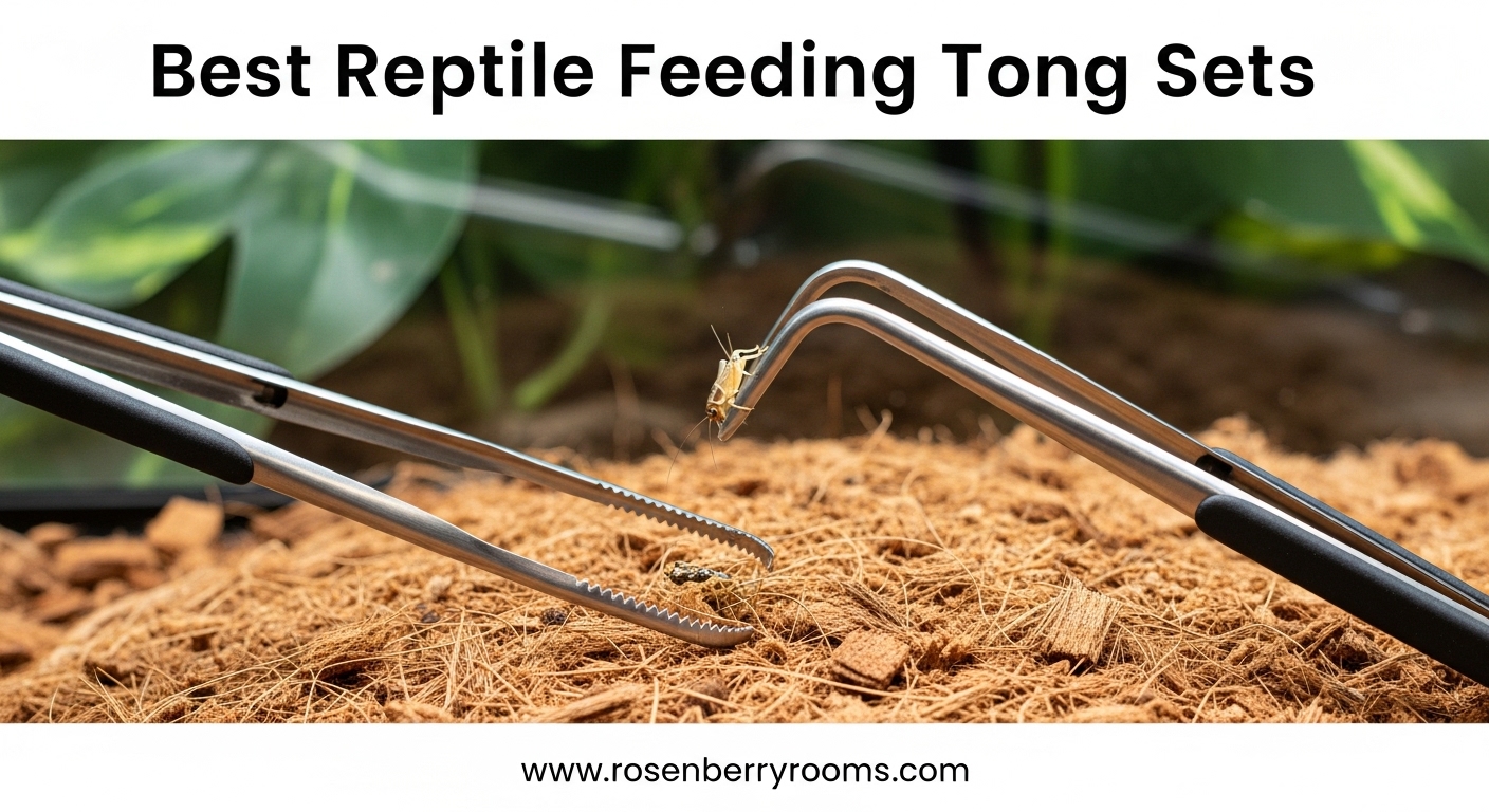 Best Reptile Feeding Tong Sets