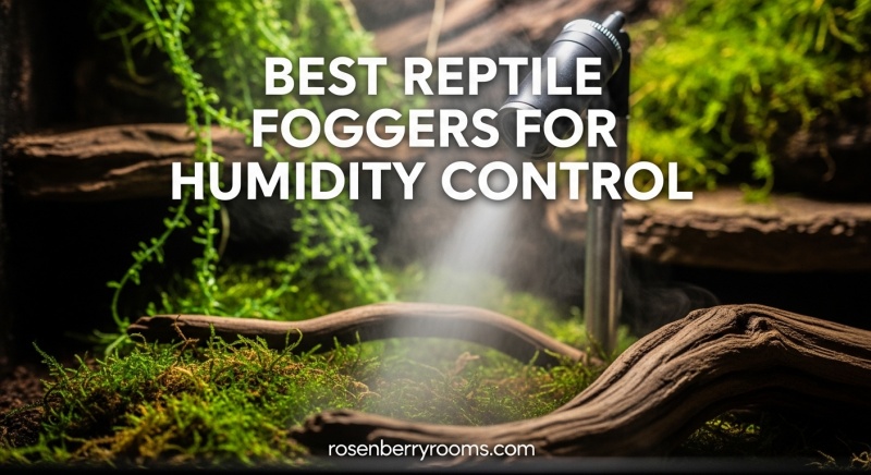 Best Reptile Foggers for Humidity Control