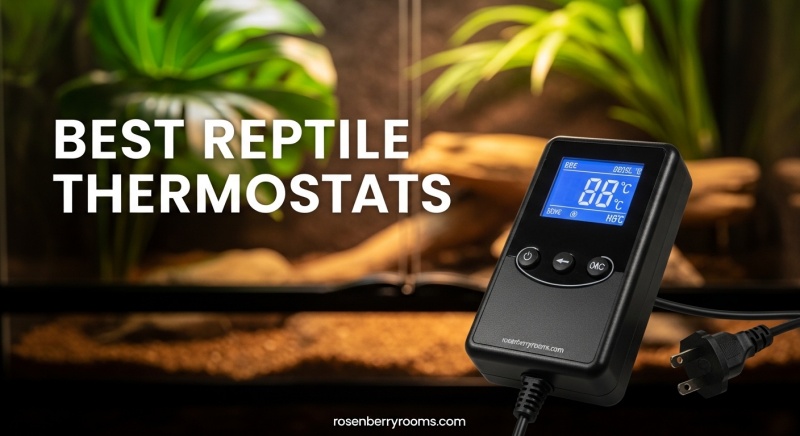 Best Reptile Thermostats