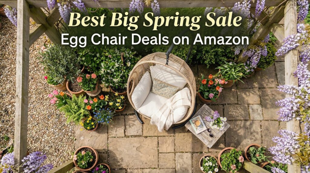 Current image: Best Big Spring Sale Egg Chair Deals on Amazon