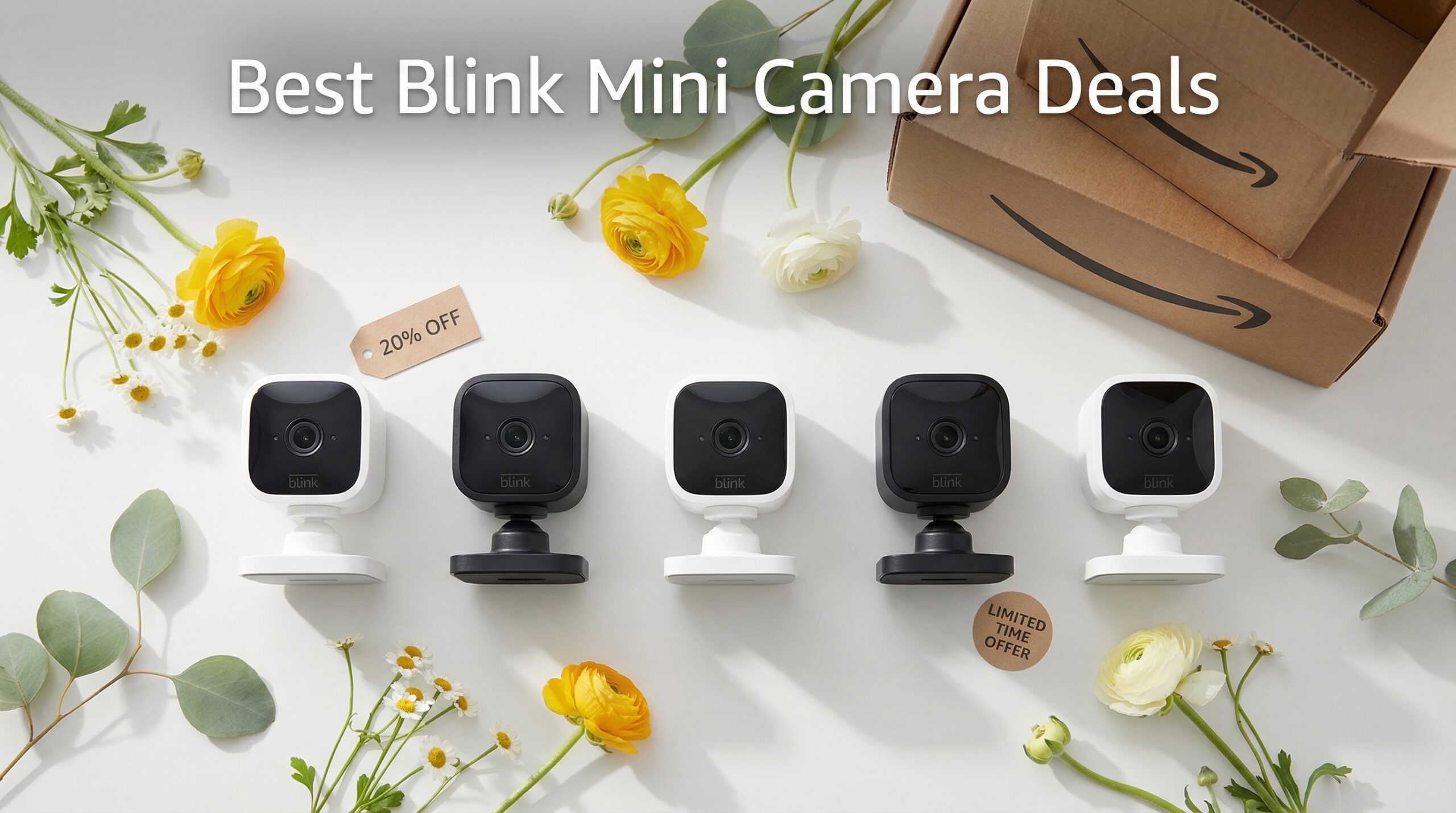 Best Big Spring Sale Blink Mini Camera Deals on Amazon