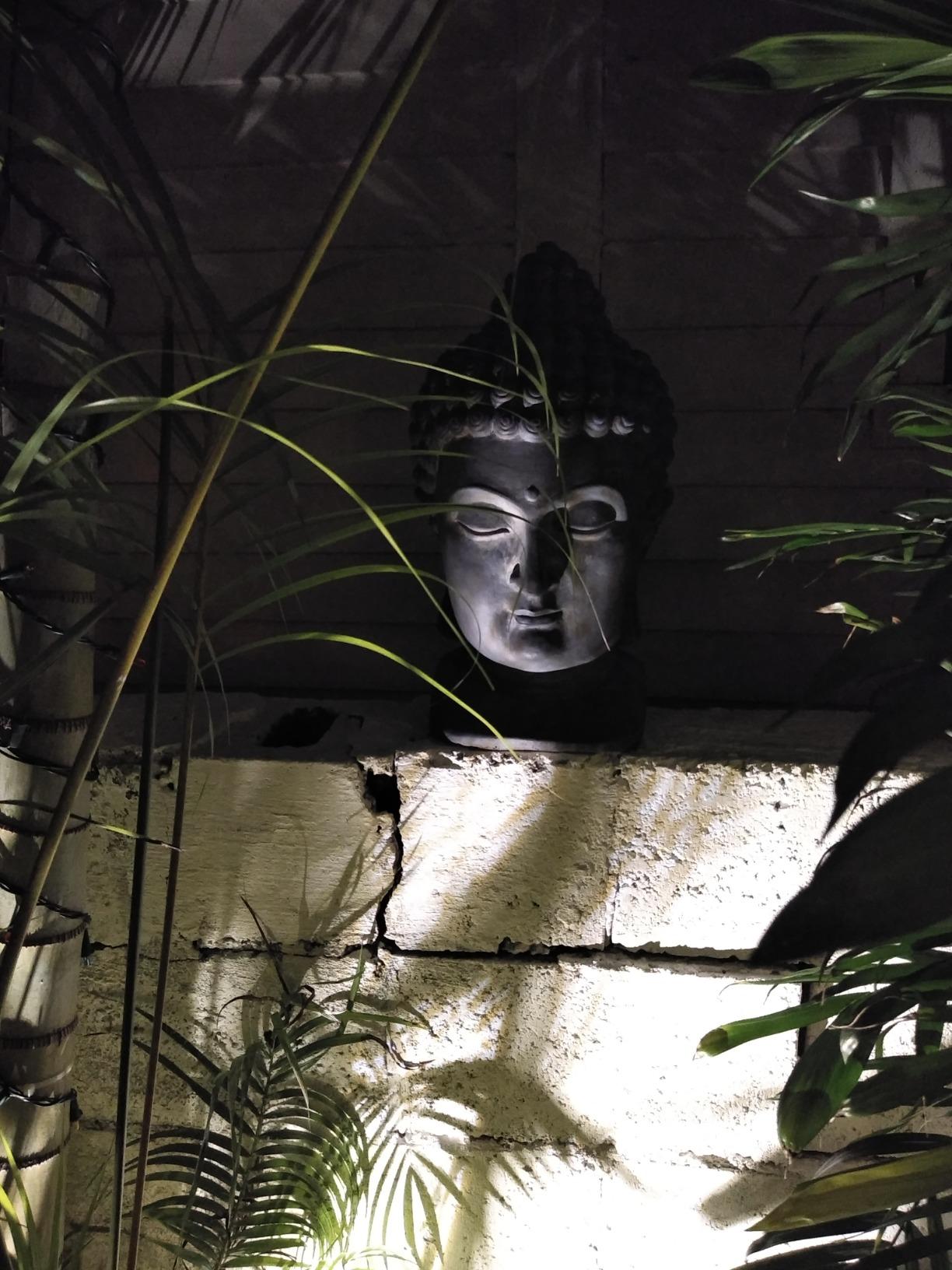 John Timberland Meditating Buddha Head Statue Sculpture Zen Asian Japanese Garden Decor Outdoor Front Porch Patio Yard Gray Weathered Faux Stone Finish Resin 18 1/2