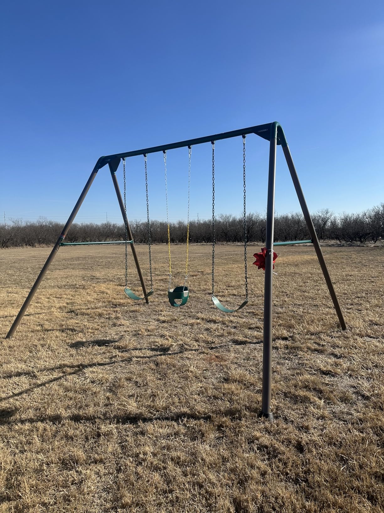 Lifetime Heavy Duty A-Frame Metal Swing Set customer photo 2