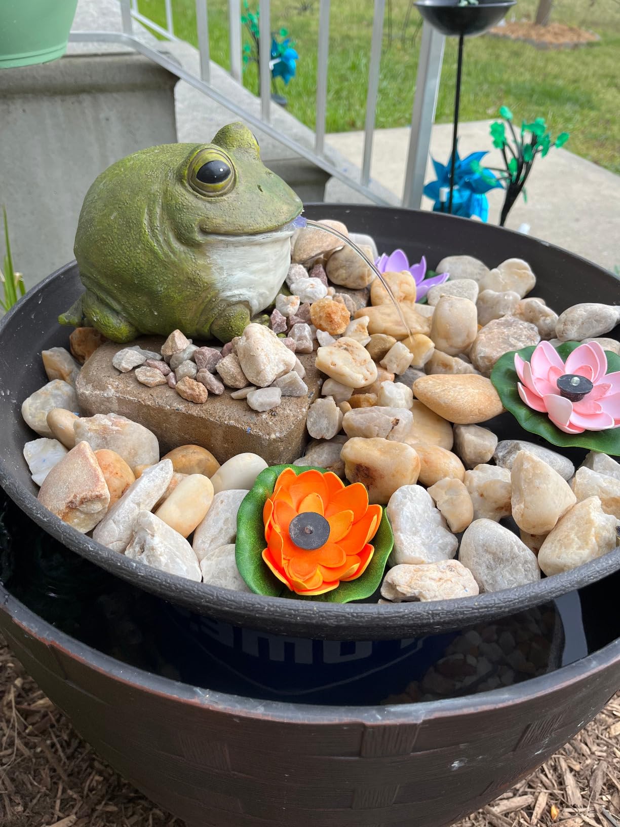 Evergreen Garden Cute Portly Frog 6