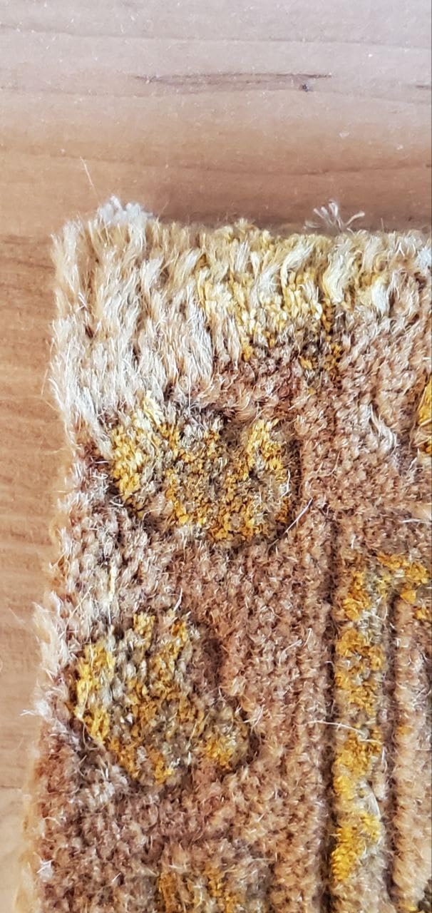 SAFAVIEH Tibetan Collection Area Rug - 6' x 9', Gold, Hand-Knotted Modern Silk & Wool, Ideal for High Traffic Areas in Living Room, Bedroom (TB231G) customer photo 1