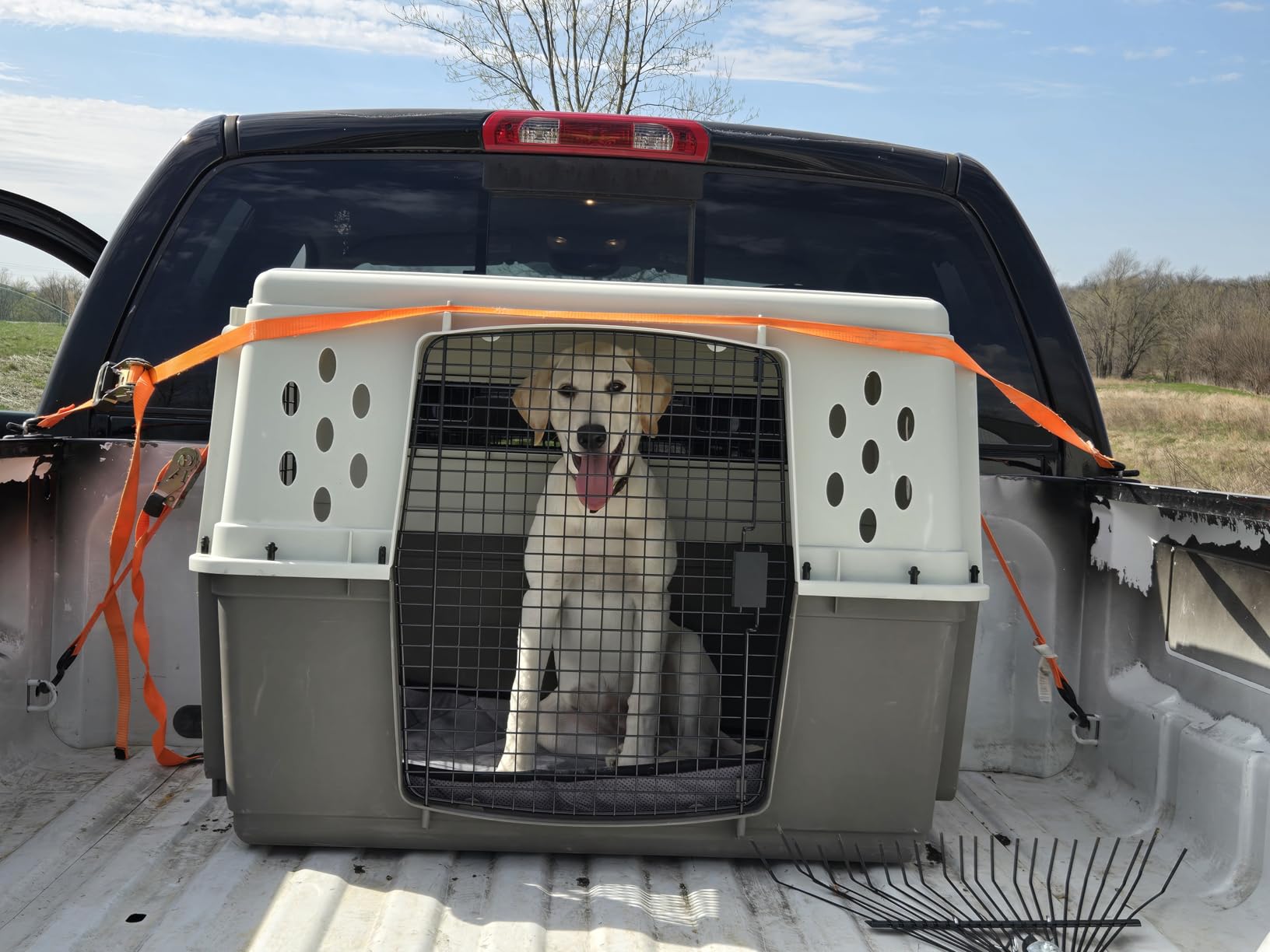 Pet Lodge Two Door Dog Crate | Designed for Air Transport | Easy to Clean Pet Crate | Great for Pets Up to 100lbs | X-Large customer photo 1