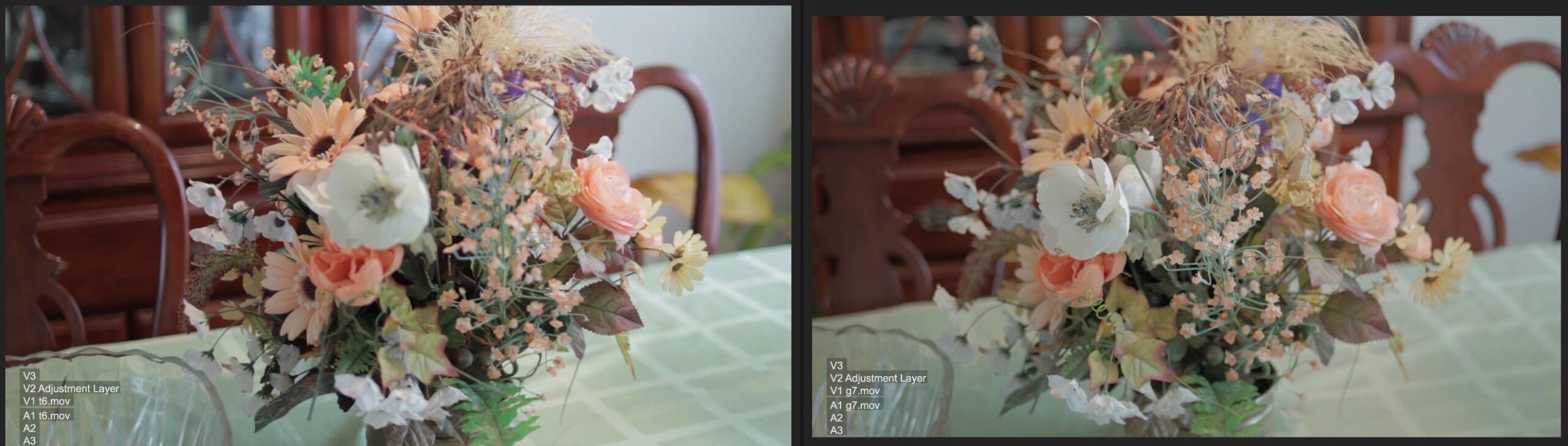 SpyderCHECKR 24 - Color calibrate your camera for consistent image color across multiple camera systems/lighting conditions. Target color chart has 24 target colors + grey card. customer photo 1