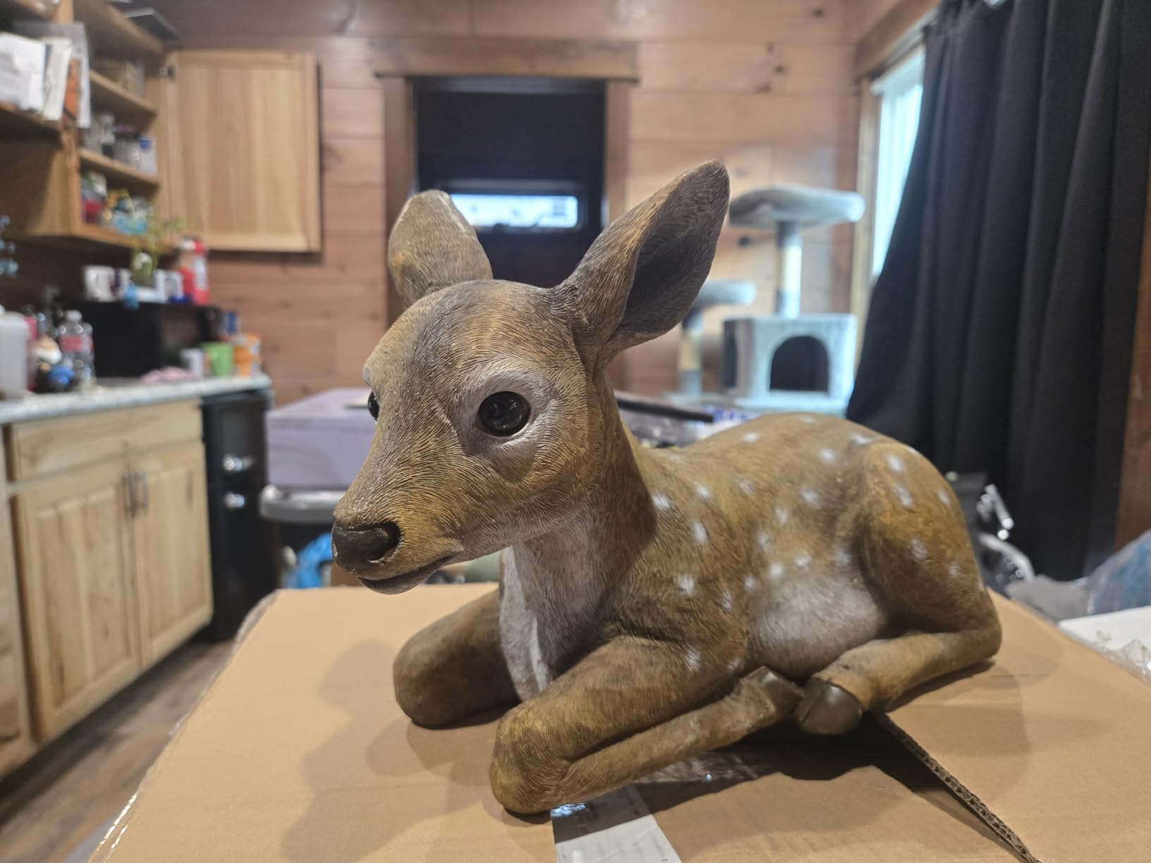 Design Toscano Darby, the Forest Fawn Baby Deer Statue customer photo 1