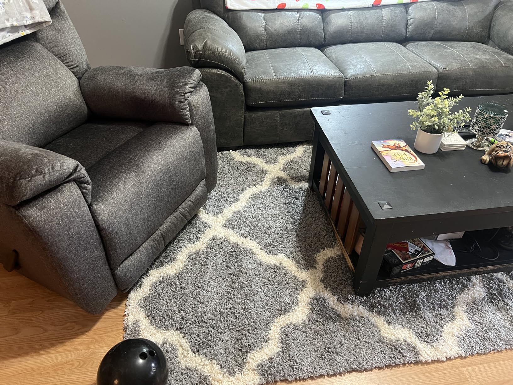 SAFAVIEH Dallas Shag Collection Area Rug - 5'1