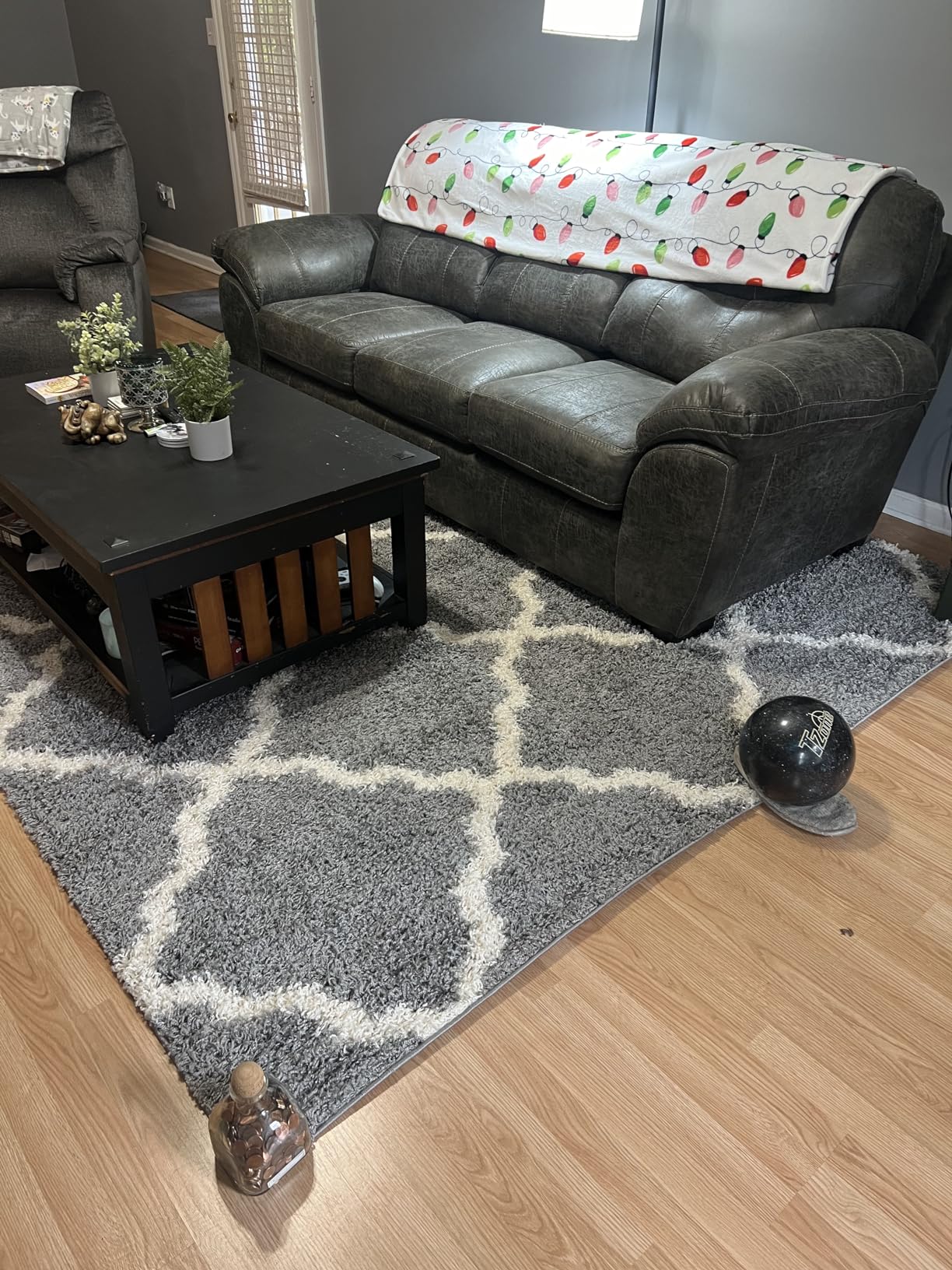 SAFAVIEH Dallas Shag Collection Area Rug - 5'1