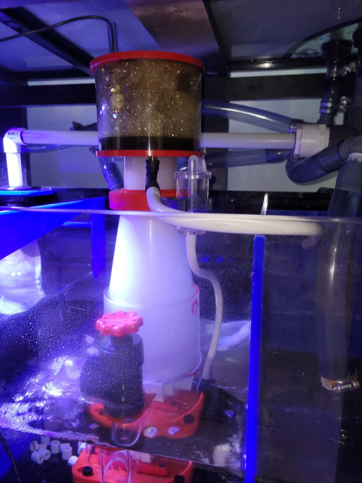 Reef Octopus OCTO Regal 150 SSS Space Saver Protein Skimmer customer photo 1