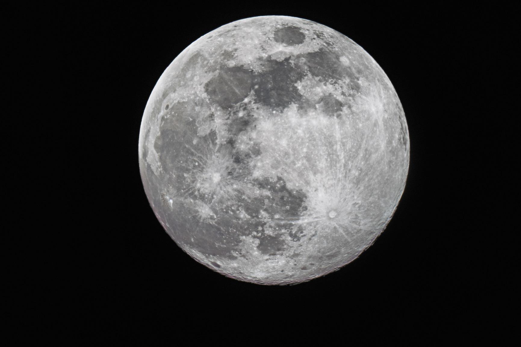 NexStar Evolution 8 EdgeHD, Schmidt-Cassegrain Telescope with StartSense customer photo 1