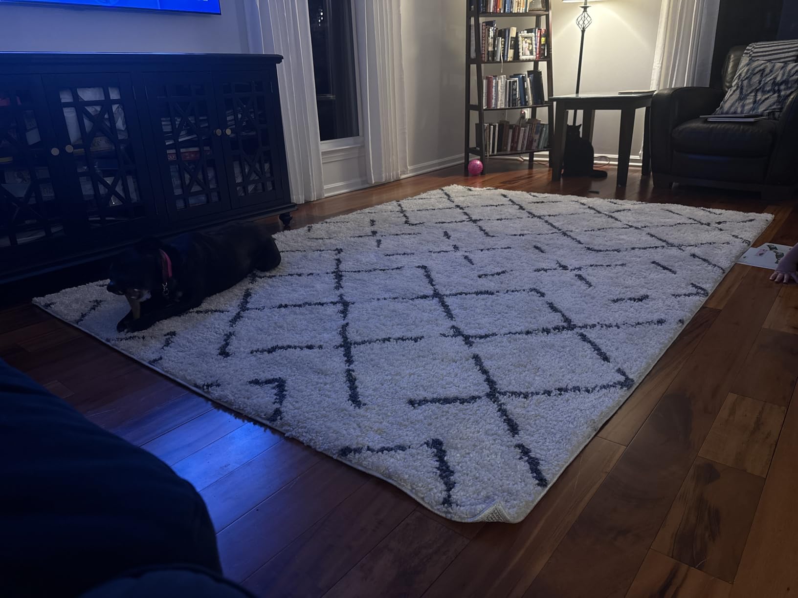 SAFAVIEH Area Rug 8x10 - Arizona Shag Collection - Ivory & Beige, Moroccan Boho Design, Non-Shedding & Easy to Clean customer photo 1