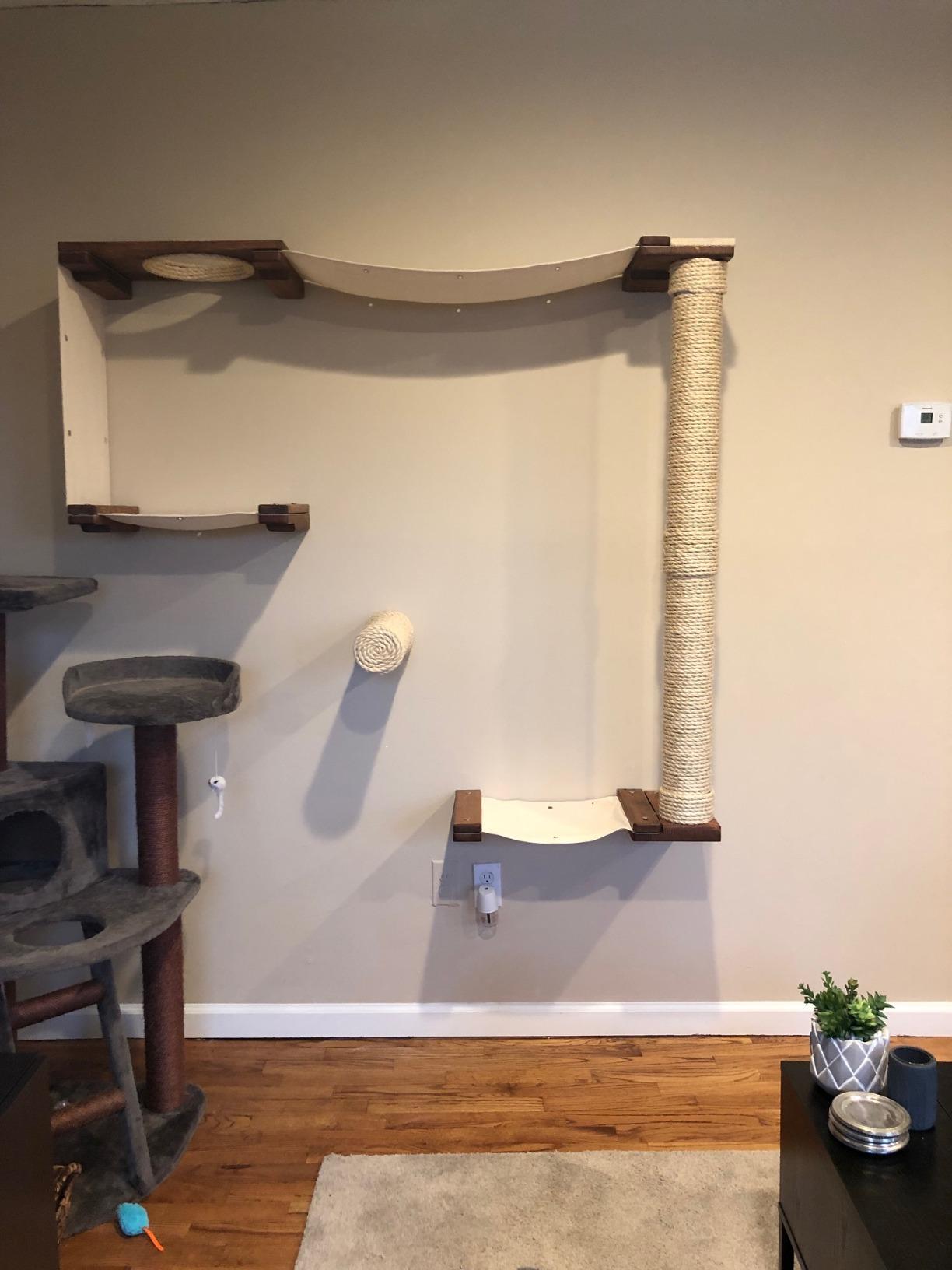 CatastrophiCreations Cat Mod Climb Track Handcrafted Wall Mounted Cat Tree Shelves, English Chestnut/Natural, One Size (528375911ENNAT) customer photo 1