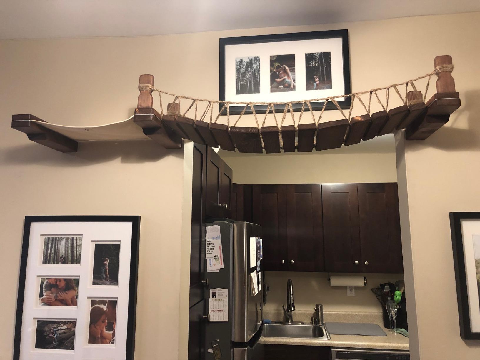 CatastrophiCreations Cat Mod Climb Track Handcrafted Wall Mounted Cat Tree Shelves, English Chestnut/Natural, One Size (528375911ENNAT) customer photo 2