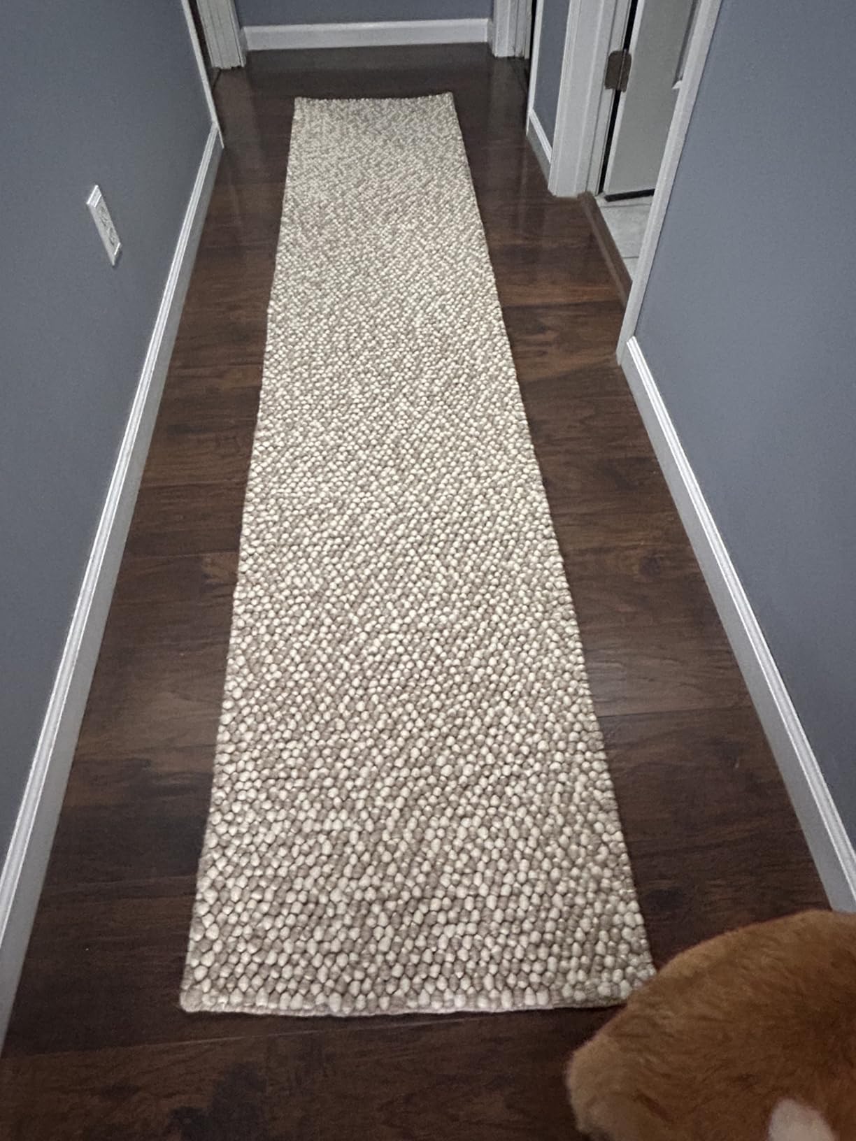 SAFAVIEH Area Rug 6x9 - Natura Collection - Ivory, Handmade Wool Blend, Textured Design, Ideal for Living Room, Bedroom, Dining Space (NAT620A) customer photo 2