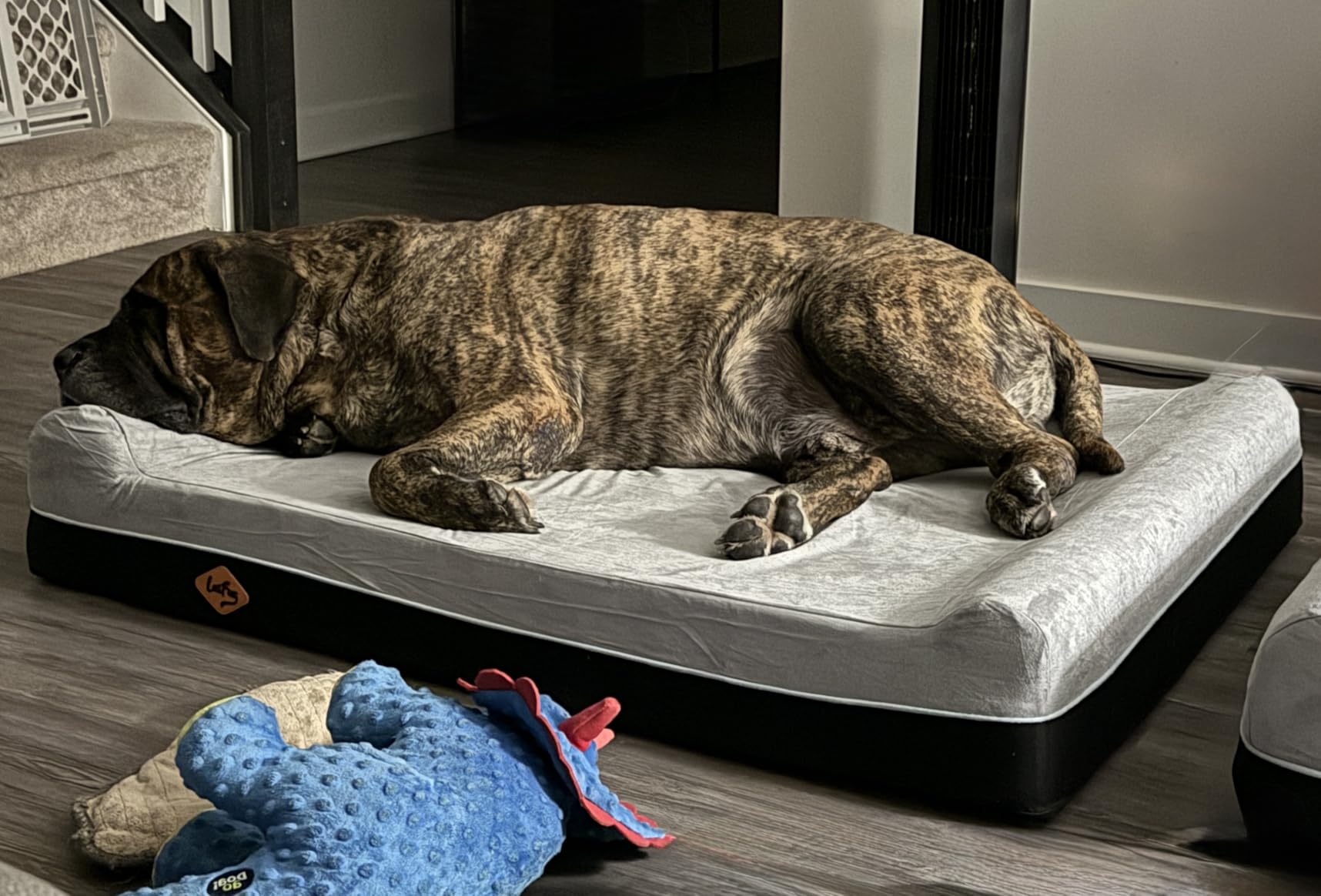 Laifug Orthopedic Memory Foam Extra Large Dog Bed Pillow(50