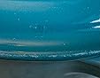 Le Creuset Enameled Cast Iron Signature Round Dutch Oven, 4.5 qt., Deep Teal customer photo 1