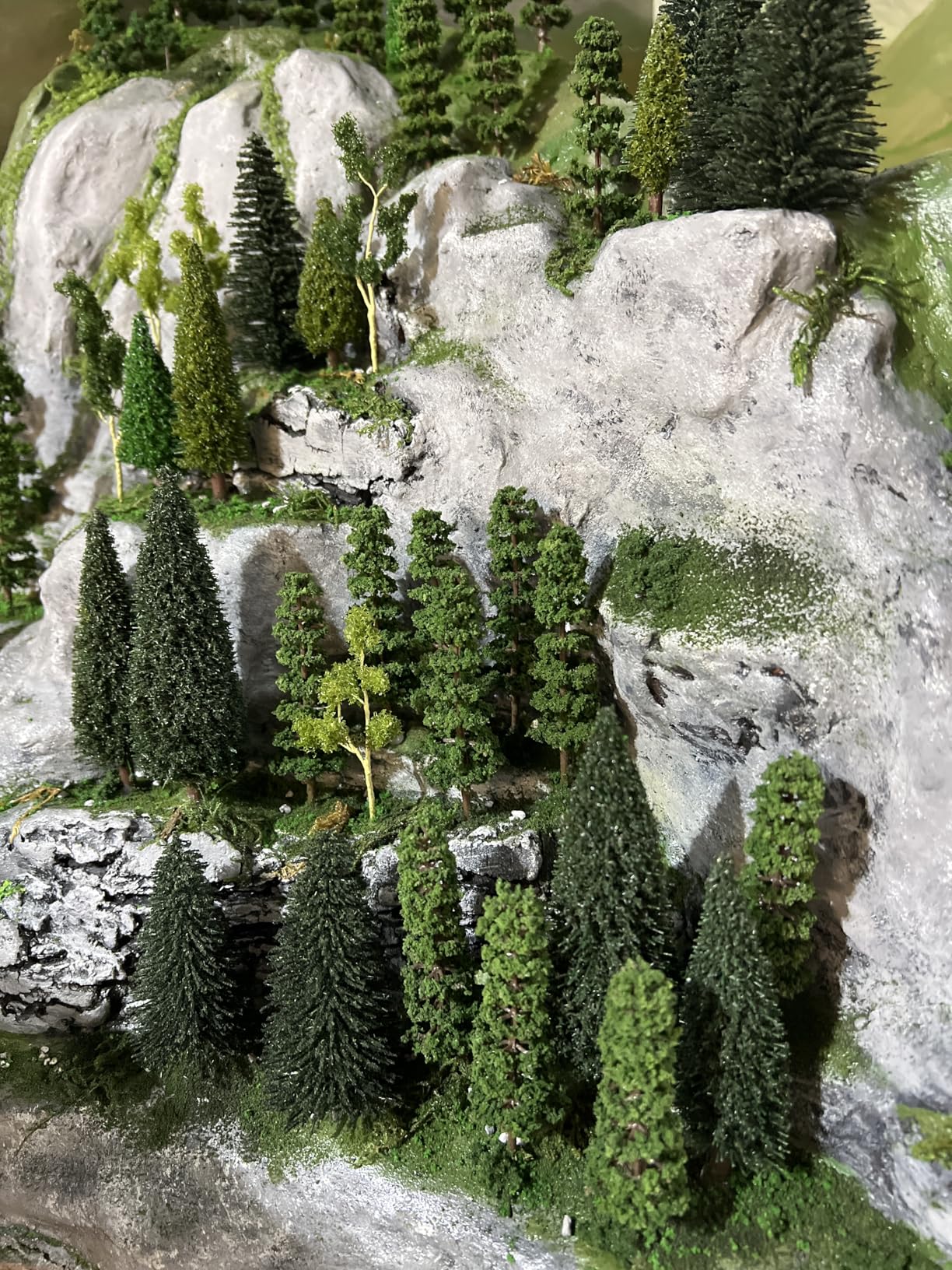 S0804 40pcs Dark Green Pine Model Cedar Trees for Model Railroad Scenery customer photo 1