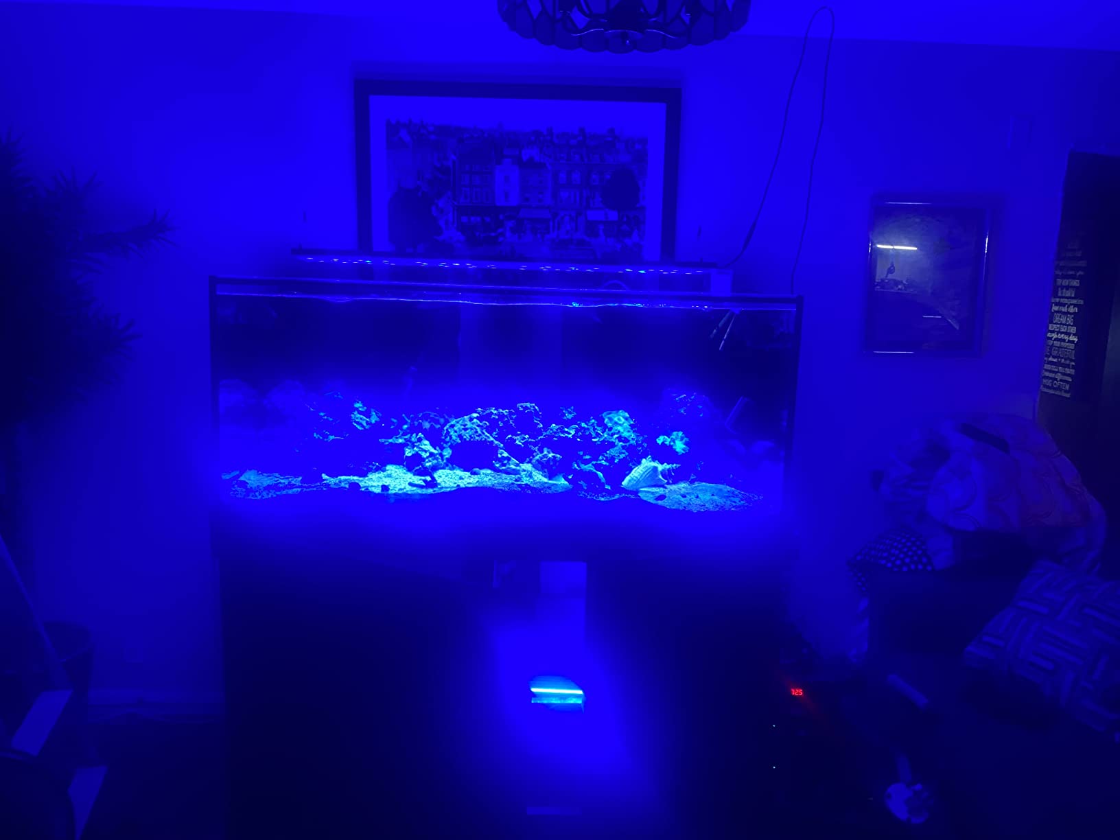 SC Aquariums 150 Gallon Starfire Glass Aquarium 60x24x24 12mm Eurobraced with Built-in Overflow Box - Premium Low Iron Glass Perfect for Planted Displays customer photo 1