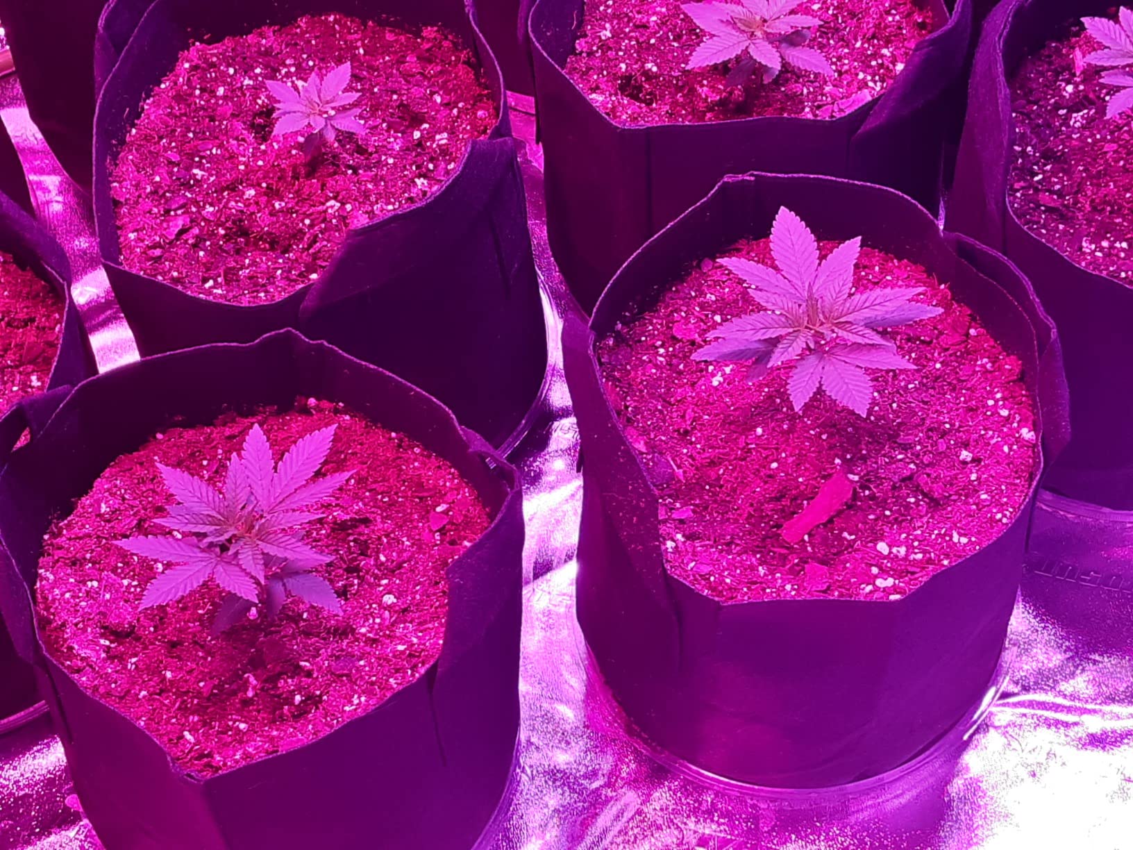 VIVOSUN R846 4x8 Grow Tent, 96