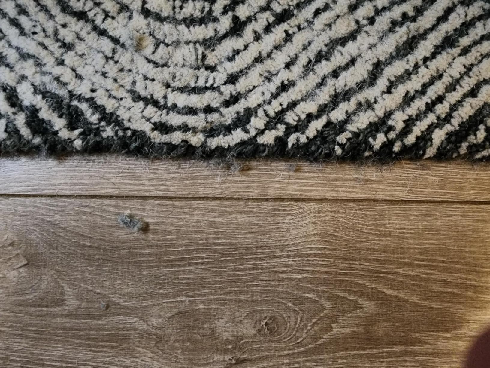 SAFAVIEH Area Rug 8x10 - Abstract Collection - Ivory & Charcoal, Handmade Wool customer photo 2