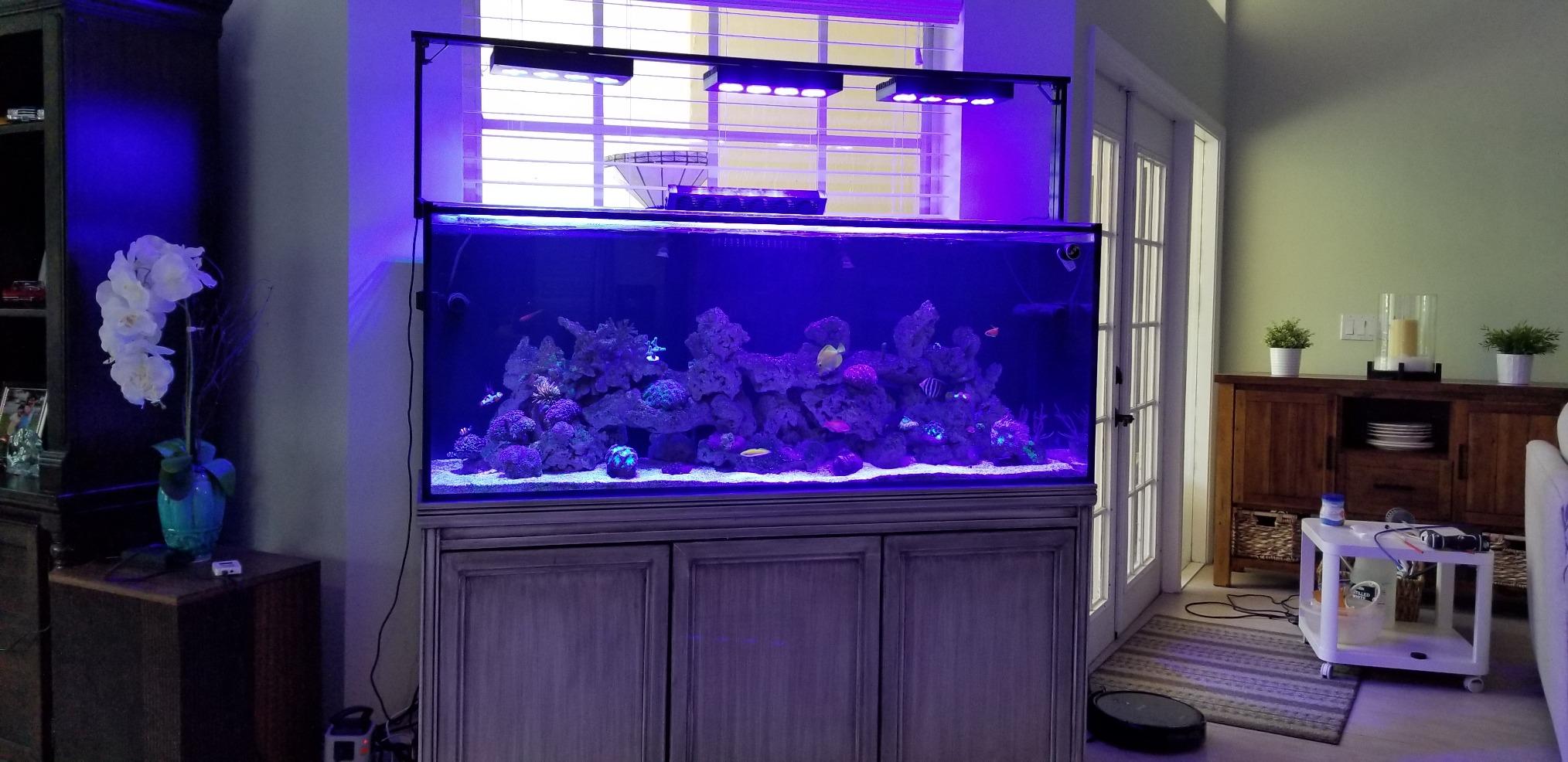 SC Aquariums 120 Gallon Starfire Glass Aquarium 12mm Eurobraced with Built-in Overflow Box - Rimless Design Ideal for Aquascaping customer photo 2