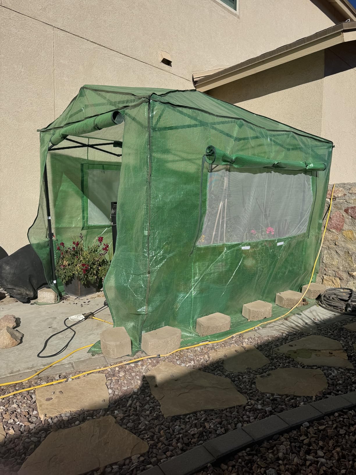 EAGLE PEAK 8x6 Easy Setup Pop Up Greenhouse, Clear/Green | Walk-In Greenhouses for Outdoors, Green House for Winter Protection, Roll-Up Doors & Mesh Windows, One Person Setup customer photo 1