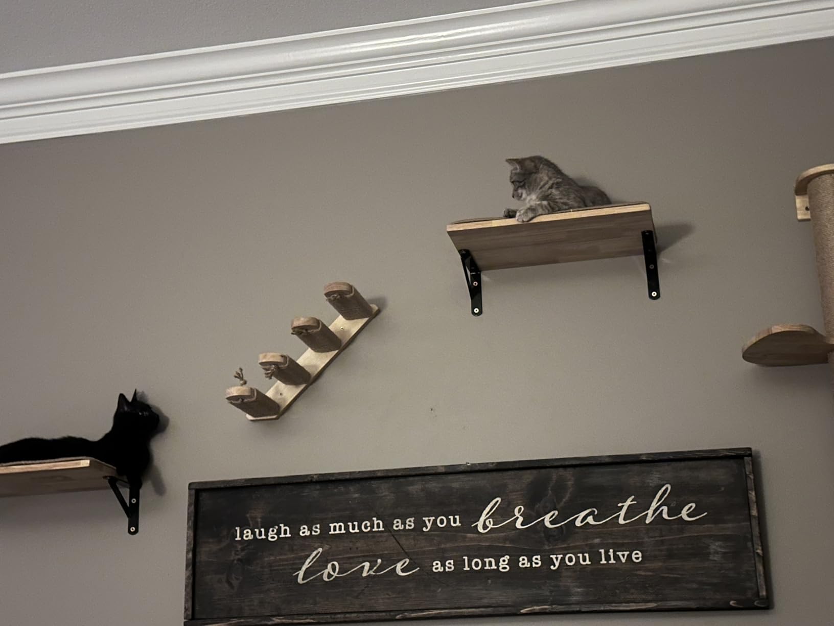 FUKUMARU Cat Climbing Shelf Wall Mounted, Four Step Cat Stairway with Jute Scratching for Kitten Perch Platform Walls Furniture customer photo 1