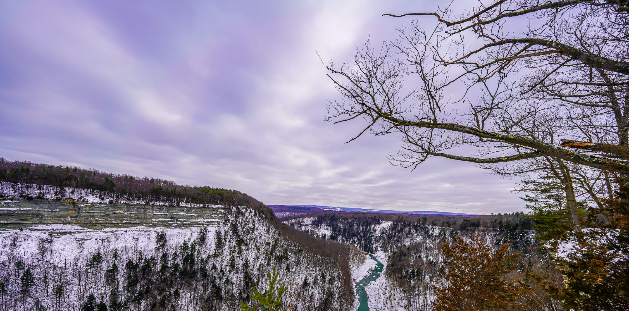 Sony FE 12-24mm F2.8 G Master Full-Frame Constant-Aperture Ultra-Wide Zoom Lens (SEL1224GM) customer photo 1