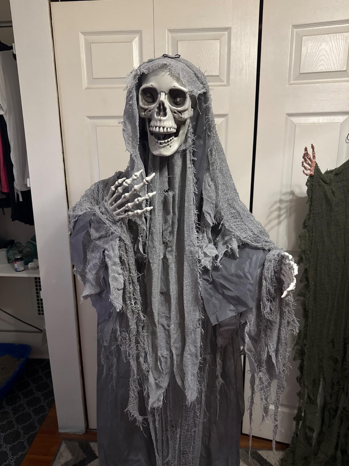 Haunted Hill Farm Life-Size Scary Skeleton Reaper Holding Staff, Halloween Animatronic with Touch Activated Lights and Sound customer photo 1