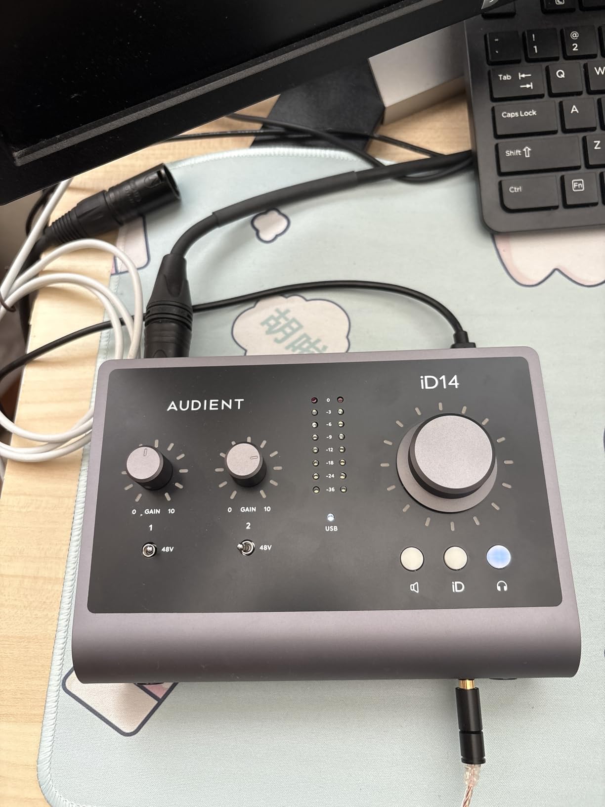 Audient iD14 MKII, 2 Class-A Microphone Preamps (High Performance USB Audio Interface, USB-C Connector) customer photo 2