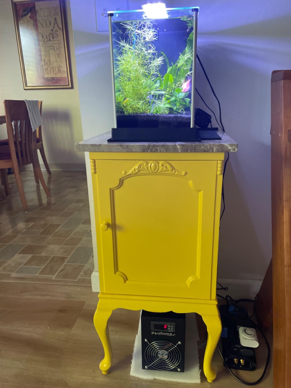 Poafamx 16gal Aquarium Chiller Small Water Chiller for Household Fish Tanks Coral Crystal Shrimp 110V with Pump customer photo 1
