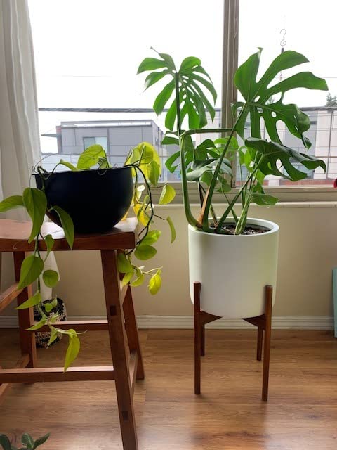 Fox & Fern 10 Inch Plant Pot with Hidden Saucer - Premium Lightweight Fiberstone Matte White Self Watering Planter with Seamless Saucer - Indoor & Outdoor Use - Weather Resistant & UV Resistant customer photo 1