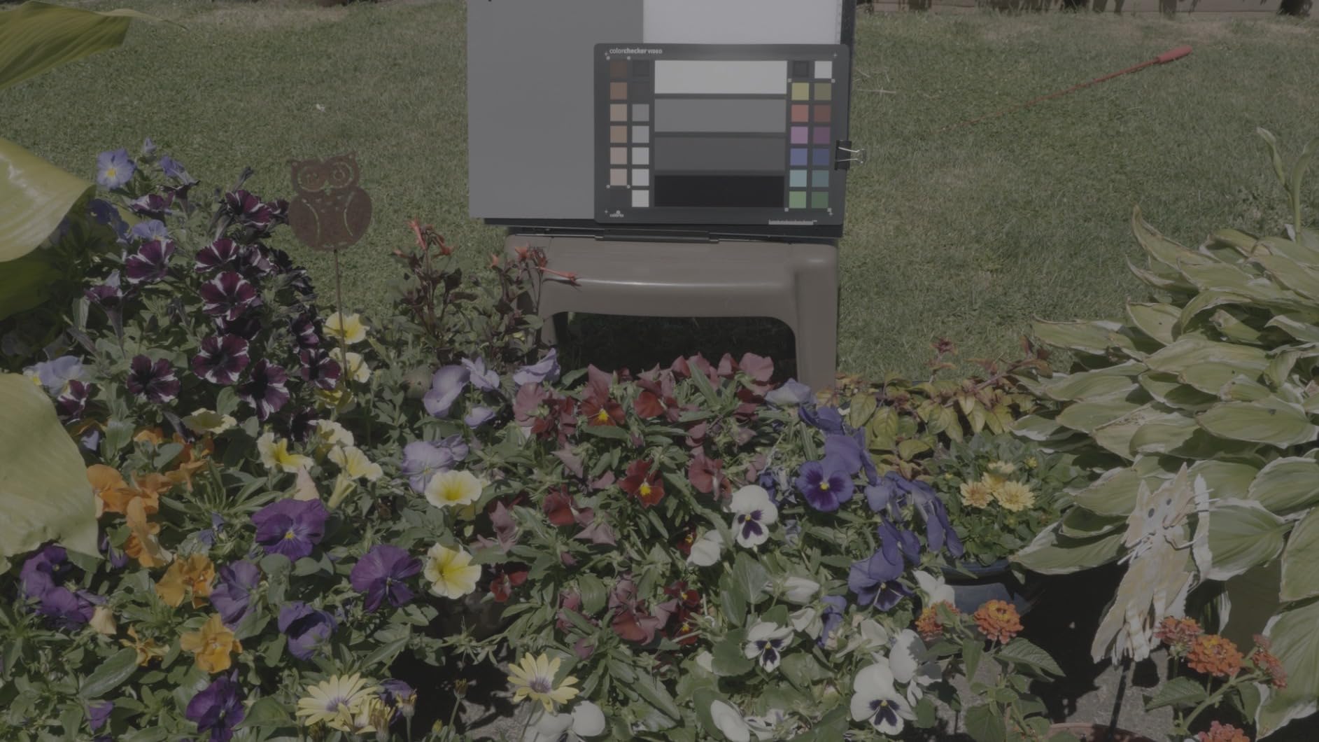 Calibrite ColorChecker Video Color Target w/White Balance Reference for Video Production, Vectorscope and Waveform Optimized Layout with Skin Tones and Grays customer photo 1
