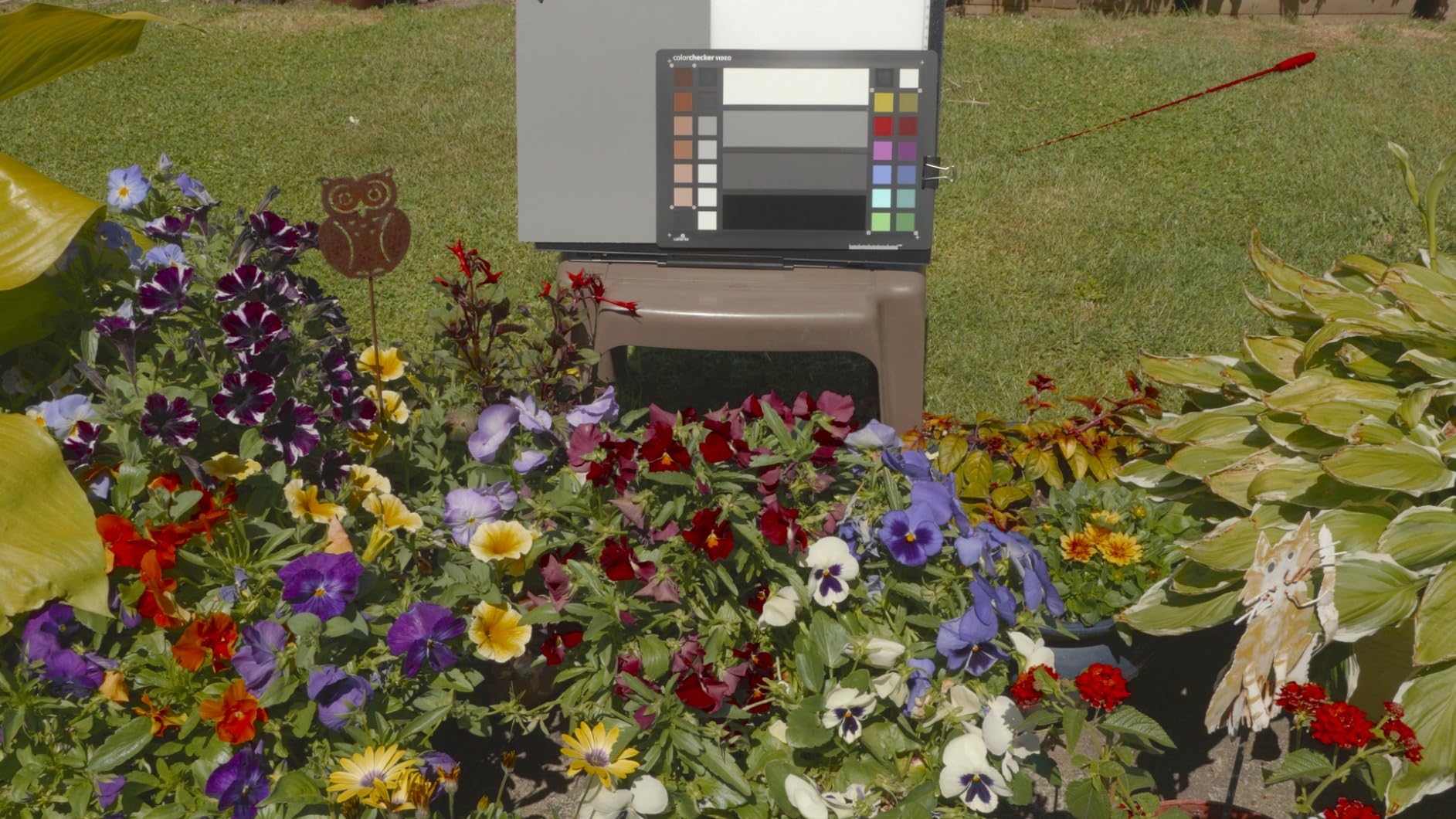 Calibrite ColorChecker Video Color Target w/White Balance Reference for Video Production, Vectorscope and Waveform Optimized Layout with Skin Tones and Grays customer photo 2