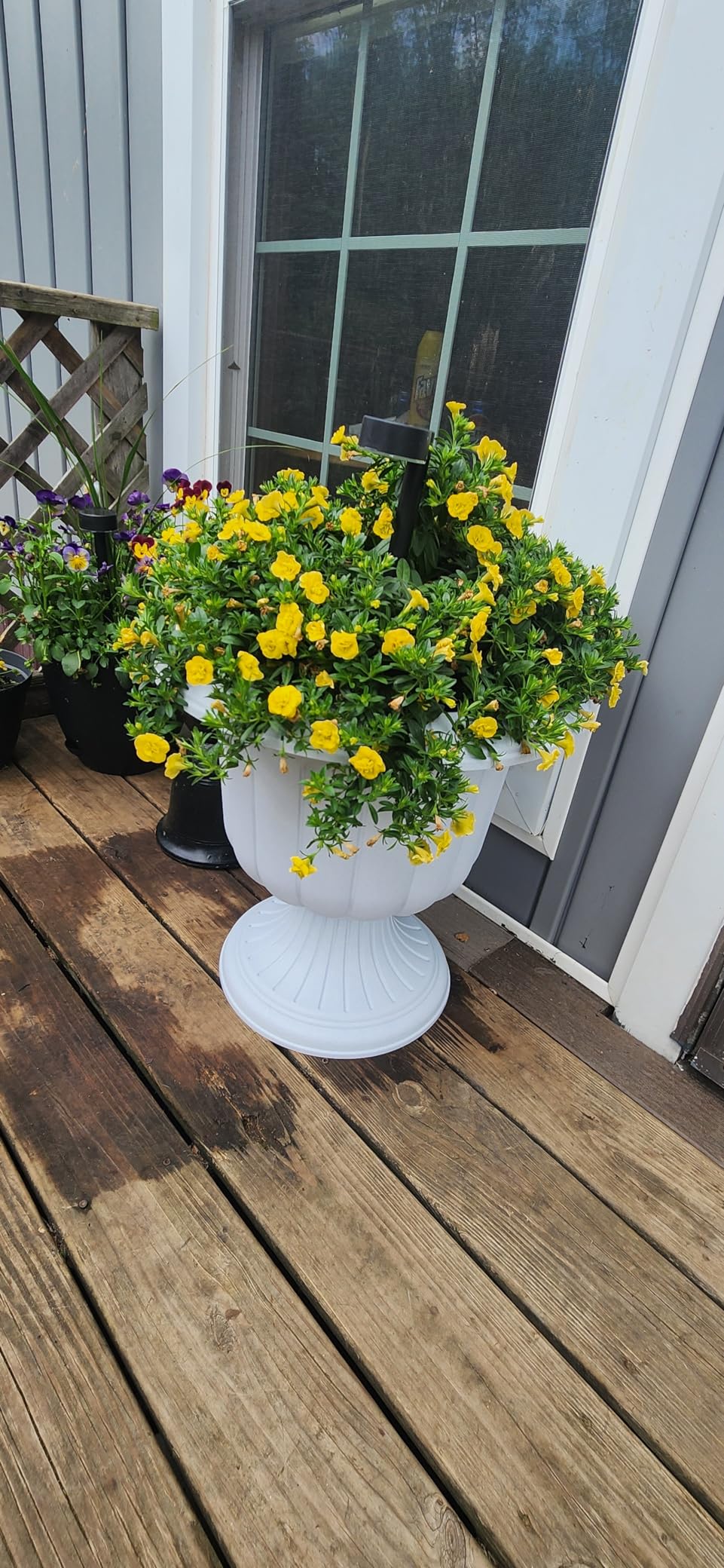 Novelty Classic Urn Garden Pot/Planter, Plastic (Pack of 2) (Stone, 19